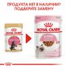 Royal Canin Kitten Maine Coon (для котят породы Мэйн Кун в возрасте до 15 месяцев) 85г х 12 шт