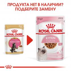 Royal Canin Kitten Maine Coon (для котят породы Мэйн Кун в возрасте до 15 месяцев) 85г х 12 шт