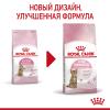 Royal Canin Kitten Sterilised (для стерилизованных котят с момента операции до 12 месяцев)