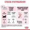 Royal Canin Kitten Sterilised (для стерилизованных котят с момента операции до 12 месяцев)