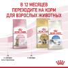 Royal Canin Kitten Sterilised (для стерилизованных котят с момента операции до 12 месяцев)