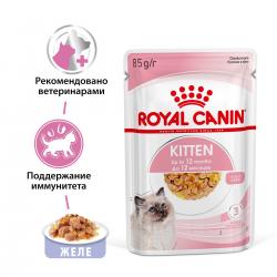 Royal Canin Kitten (желе для котят от 4 до 12 месяцев) 85г х 28шт Royal Canin Kitten (желе для котят от 4 до 12 месяцев) 85г х 28шт