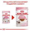 Royal Canin Kitten (паштет для котят от 4 до 12 месяцев) 85г х 12шт