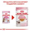 Royal Canin Kitten Sterilised 85г х 12шт (желе для стерилизованных котят от 6 до 12 месяцев)