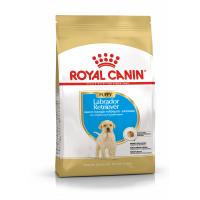Royal Canin Labrador Puppy (для щенков Лабрадора до 15 месяцев) Royal Canin Labrador Puppy (для щенков Лабрадора до 15 месяцев)