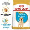 Royal Canin Labrador Puppy (для щенков Лабрадора до 15 месяцев)