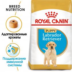 Royal Canin Labrador Puppy (для щенков Лабрадора до 15 месяцев)