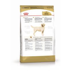 Royal Canin Labrador  Adult (для Лабрадоров старше 15 месяцев)
