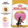 Royal Canin Maine Coon Kitten (для котят породы мейн-кун в возрасте до 15 месяцев)