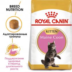 Royal Canin Maine Coon Kitten (для котят породы мейн-кун в возрасте до 15 месяцев)