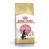 Royal Canin Maine Coon Kitten (для котят породы мейн-кун в возрасте до 15 месяцев)