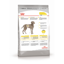 Royal Canin Maxi Dermacomfort (для собак крупных пород с раздраженной и зудящей кожей)