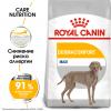Royal Canin Maxi Dermacomfort (для собак крупных пород с раздраженной и зудящей кожей)