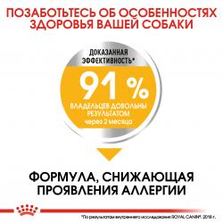 Royal Canin Maxi Dermacomfort (для собак крупных пород с раздраженной и зудящей кожей)