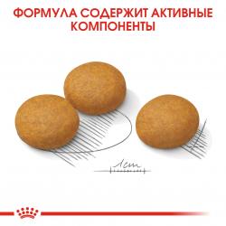 Royal Canin Maxi Dermacomfort (для собак крупных пород с раздраженной и зудящей кожей)