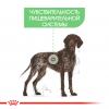 Royal Canin Maxi Digestive Care (для собак крупных пород с чувствительным пищеварением)