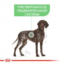 Royal Canin Maxi Digestive Care (для собак крупных пород с чувствительным пищеварением)