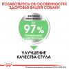 Royal Canin Maxi Digestive Care (для собак крупных пород с чувствительным пищеварением)