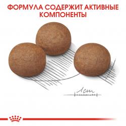 Royal Canin Maxi Digestive Care (для собак крупных пород с чувствительным пищеварением)