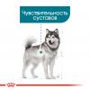 Royal Canin Maxi Joint Care (для собак крупных пород с повышенной чувствительностью суставов)