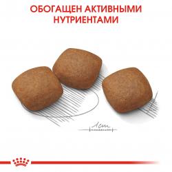 Royal Canin Maxi Joint Care (для собак крупных пород с повышенной чувствительностью суставов)