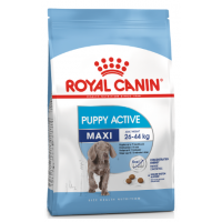 Royal Canin Maxi Junior Active (для активных щенков до 15 месяцев) Royal Canin Maxi Junior Active (для активных щенков до 15 месяцев)