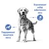 Royal Canin Maxi Light Weight Care (для собак крупных пород, склонных к полноте) Royal Canin Maxi Light Weight Care (для собак крупных пород, склонных к полноте)