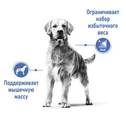 Royal Canin Maxi Light Weight Care (для собак крупных пород, склонных к полноте) Royal Canin Maxi Light Weight Care (для собак крупных пород, склонных к полноте)