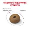 Royal Canin Maxi Light Weight Care (для собак крупных пород, склонных к полноте) Royal Canin Maxi Light Weight Care (для собак крупных пород, склонных к полноте)