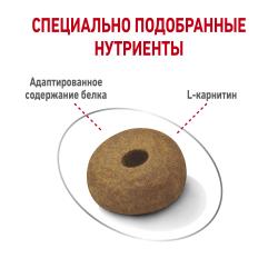 Royal Canin Maxi Light Weight Care (для собак крупных пород, склонных к полноте) Royal Canin Maxi Light Weight Care (для собак крупных пород, склонных к полноте)