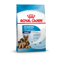 Royal Canin Maxi Starter (для щенков крупных пород до 2-х месяцев, беременных и кормящих сук) Royal Canin Maxi Starter (для щенков крупных пород до 2-х месяцев, беременных и кормящих сук)