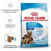 Royal Canin Maxi Starter (для щенков крупных пород до 2-х месяцев, беременных и кормящих сук) Royal Canin Maxi Starter (для щенков крупных пород до 2-х месяцев, беременных и кормящих сук)