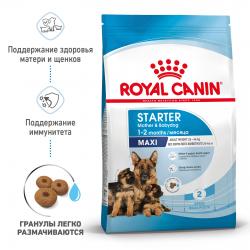 Royal Canin Maxi Starter (для щенков крупных пород до 2-х месяцев, беременных и кормящих сук) Royal Canin Maxi Starter (для щенков крупных пород до 2-х месяцев, беременных и кормящих сук)