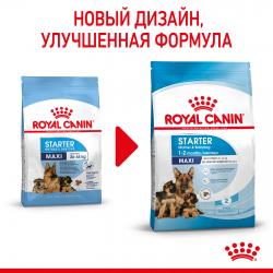 Royal Canin Maxi Starter (для щенков крупных пород до 2-х месяцев, беременных и кормящих сук) Royal Canin Maxi Starter (для щенков крупных пород до 2-х месяцев, беременных и кормящих сук)