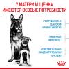 Royal Canin Maxi Starter (для щенков крупных пород до 2-х месяцев, беременных и кормящих сук) Royal Canin Maxi Starter (для щенков крупных пород до 2-х месяцев, беременных и кормящих сук)
