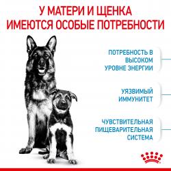 Royal Canin Maxi Starter (для щенков крупных пород до 2-х месяцев, беременных и кормящих сук) Royal Canin Maxi Starter (для щенков крупных пород до 2-х месяцев, беременных и кормящих сук)