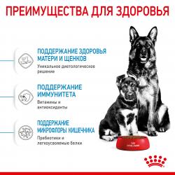 Royal Canin Maxi Starter (для щенков крупных пород до 2-х месяцев, беременных и кормящих сук) Royal Canin Maxi Starter (для щенков крупных пород до 2-х месяцев, беременных и кормящих сук)