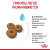 Royal Canin Maxi Starter (для щенков крупных пород до 2-х месяцев, беременных и кормящих сук) Royal Canin Maxi Starter (для щенков крупных пород до 2-х месяцев, беременных и кормящих сук)