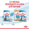 Royal Canin Maxi Starter (для щенков крупных пород до 2-х месяцев, беременных и кормящих сук) Royal Canin Maxi Starter (для щенков крупных пород до 2-х месяцев, беременных и кормящих сук)