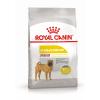 Royal Canin Medium Dermacomfort (для собак средних пород с раздраженной и зудящей кожей)