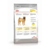 Royal Canin Medium Dermacomfort (для собак средних пород с раздраженной и зудящей кожей)