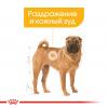 Royal Canin Medium Dermacomfort (для собак средних пород с раздраженной и зудящей кожей)