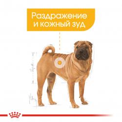 Royal Canin Medium Dermacomfort (для собак средних пород с раздраженной и зудящей кожей)