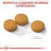 Royal Canin Medium Dermacomfort (для собак средних пород с раздраженной и зудящей кожей)