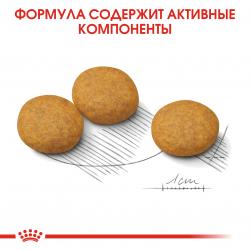 Royal Canin Medium Dermacomfort (для собак средних пород с раздраженной и зудящей кожей)