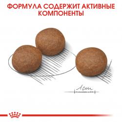 Royal Canin Medium Digestive Care (для взрослых собак средних размеров с чувствительным пищеварением) Royal Canin Medium Digestive Care (для взрослых собак средних размеров с чувствительным пищеварением)