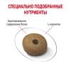 Royal Canin Medium Light Weight Care (для собак средних пород, склонных к избыточному весу) Royal Canin Medium Light Weight Care (для собак средних пород, склонных к избыточному весу)