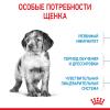 Royal Canin Medium Puppy  (для щенков средних пород до 12 месяцев) Royal Canin Medium Puppy  (для щенков средних пород до 12 месяцев)