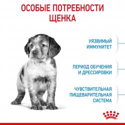 Royal Canin Medium Puppy  (для щенков средних пород до 12 месяцев) Royal Canin Medium Puppy  (для щенков средних пород до 12 месяцев)