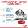 Royal Canin Medium Puppy  (для щенков средних пород до 12 месяцев) Royal Canin Medium Puppy  (для щенков средних пород до 12 месяцев)